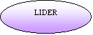 Oval: LIDER
