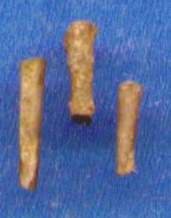 Productid Spines1.JPG