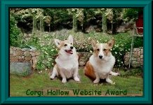 "Corgi Hollow" gave me a Corgi Hollow Web Site Award!