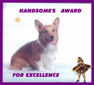 "Corgiville3" gave me Handsome's Award for Excellence!