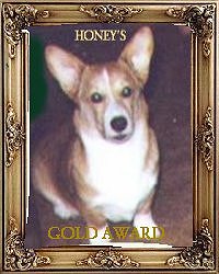 "Corgiville" gave me Honey's Gold Award!