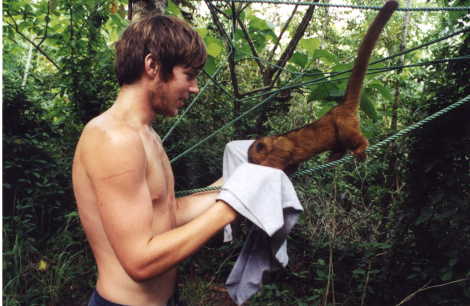 kenny and the kinkanjou