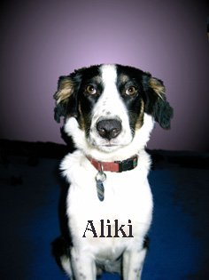aliki