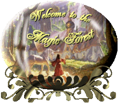 Welcome to the Magic Forest