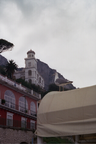 Capri