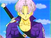 Trunks