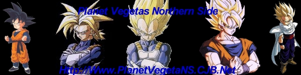 [ Planet Vegetas Northern Side *P.V.N.S* ]