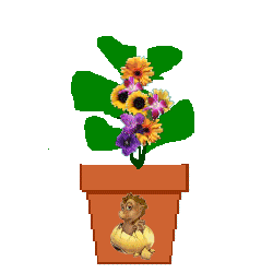 The Site Fights Spirit Flowers