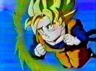 Goten 020