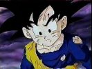 Goten