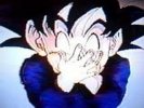 Goten 033