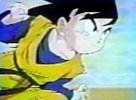 Goten 045