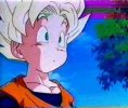 Goten 047