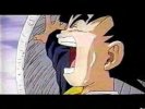 Goten 048