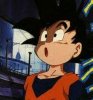Goten 066