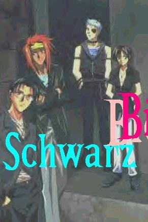 Schwarz...Evil...hot...guys! ^_^*
