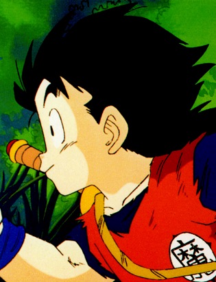 Gohan