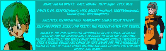 BULMA'S PROFILE