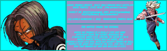 MIRAI NO TRUNKS' PROFILE