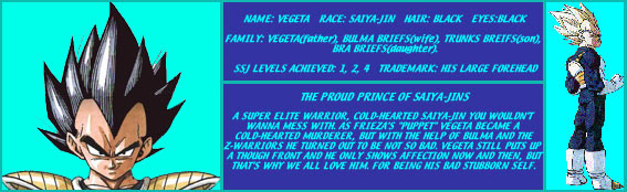 VEGETA'S PROFILE