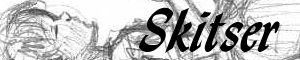Skitser