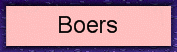 Boers