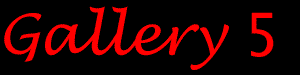 gallery5