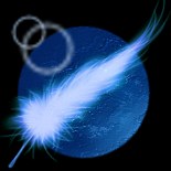 Feathers from the Moon