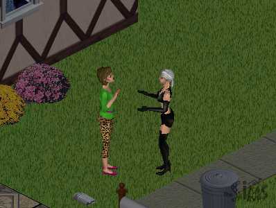 Trailer trash.  Every neighborhood has some.