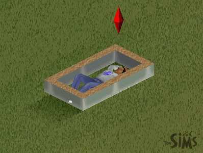 The excitement continues...