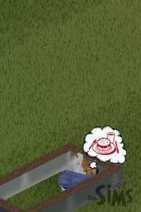 You try waiting four days for a Sim to die.  It's more annoying than Chibi-usa.