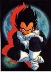 Vegeta looking sinister