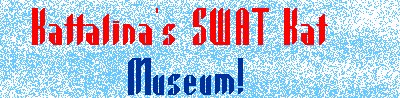Kattalina's SWAT Kat Museum
