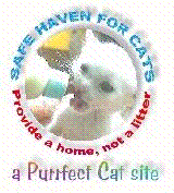Safe Haven for Cats