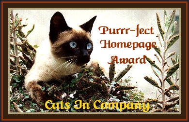 Cats In Company Purr-fect Home Page Award