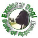 Explore Dog