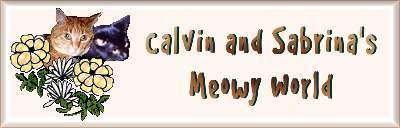 Calvin ans Sabrina's Meowy World