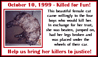 Help bring Killers to Justice