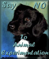 Read what they did to Rodney