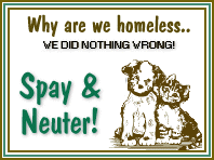 Spay and Neuter