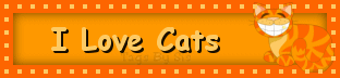 I Love Cats