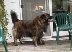 You want to go in there, I don't think so