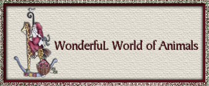 Wonderful World of Animals Banner