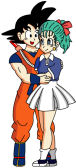 Goku and Bulma - Kame Uniform