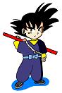 Goku (Shu's outfit)