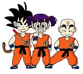 Turtle School Transfer Student