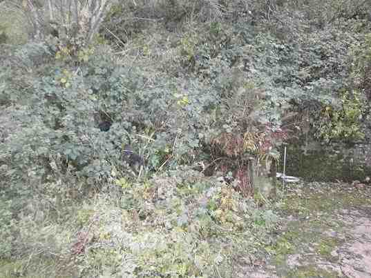 {short description of image}