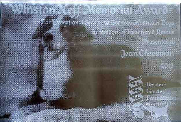 {short description of image}