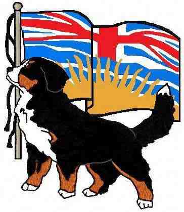 Ingrid's beautiful B.C. flag with Berner