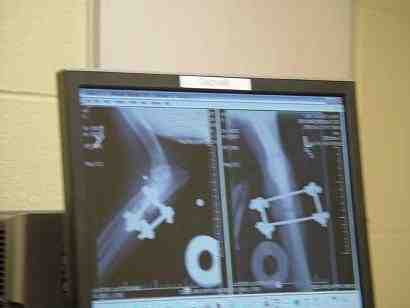 {short description of image}